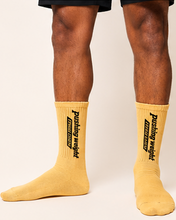 Load image into Gallery viewer, Calisthenics Socks
