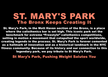 Load image into Gallery viewer, St Marys Park Bronx | Oversized Drop Shoulder
